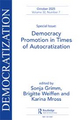 Strategic responses to autocratization in international democracy promotion
