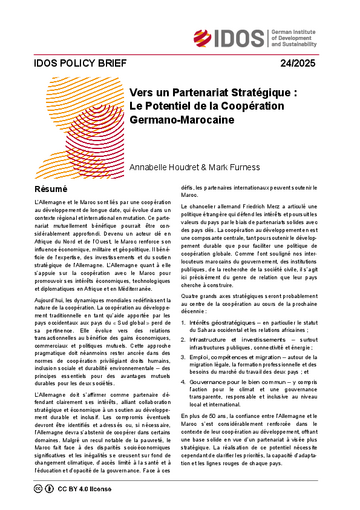 IDOS Policy Brief cover