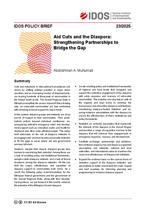 IDOS Policy Brief cover