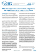 What makes economic empowerment programmes successful? Experimental evidence from Malawi