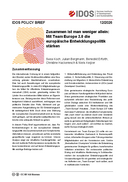 Zusammen ist man weniger allein: Mit Team Europe 2.0 die europäische Entwicklungspolitik stärken