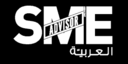 ما هي العوامل التي تحدد الرتقاء بالمشاريع الصغيرة والمتوسطة في مصر؟ (Which factors constrain the upgrading of small and medium-size enterprises in Egypt?) 