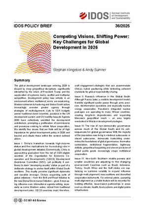 IDOS Policy Brief cover