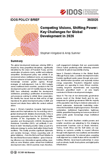 IDOS Policy Brief cover
