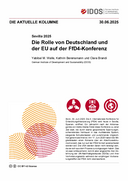 Die Rolle von Deutschland und der EU auf der FfD4-Konferenz 