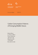 Cover: Discussion Paper 13/2020 “Carbon consumption patterns of emerging middle classes”