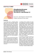 Strengthening European development policy: the case for Team Europe 2.0