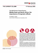 Middle East and North Africa: the importance of long-term effects