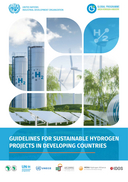 Guidelines for sustainable hydrogen projects in developing countries