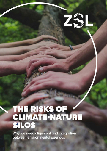 The risks of climate-nature silos: why we need alignment and integration between environmental agendas