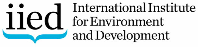 Logo: IIED