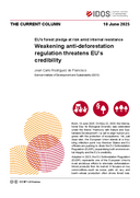 Weakening anti-deforestation regulation threatens EU’s credibility