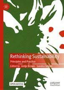Science-policy interfaces and sustainable development: institutionally bridging the knowledge–action gap