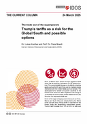 Trump’s tariffs as a risk for the Global South and possible options