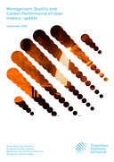 Management quality and carbon performance of steel markers: update