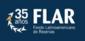 Strengthening cooperation between regional financing arrangements and the International Monetary Fund