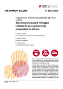 Electrolysis-based nitrogen fertilisers as a promising innovation in Africa