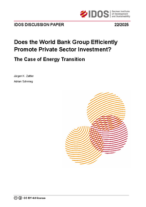 Cover IDOS Discussion Paper