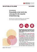 Planstädte sind nicht die Lösung für die rasante Urbanisierung