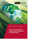 Inclusive green finance
