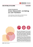 Grüner Wasserstoff – ein Beitrag zur Just Transition?