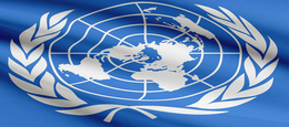 Die Entwicklungspolitik der Vereinten Nationen