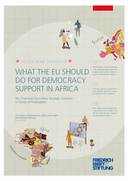 What the EU should do for democracy support in Africa: ten proposals for a new strategic initiative in times of polarisation