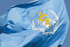 Photo: Flag of the World Health Organisation
