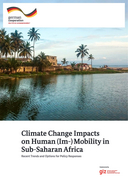 Climate change impacts on human (im-)mobility in Sub-Saharan Africa: recent trends and options for policy responses