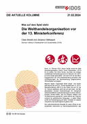 Die Welthandelsorganisation vor der 13. Ministerkonferenz