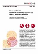 Die Welthandelsorganisation vor der 13. Ministerkonferenz