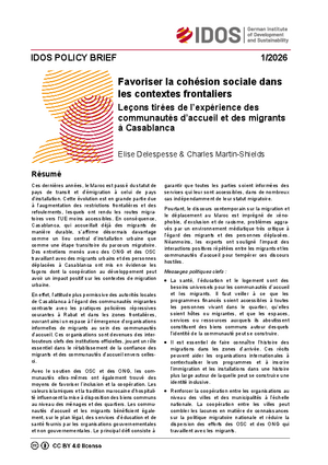 IDOS Policy Brief Cover