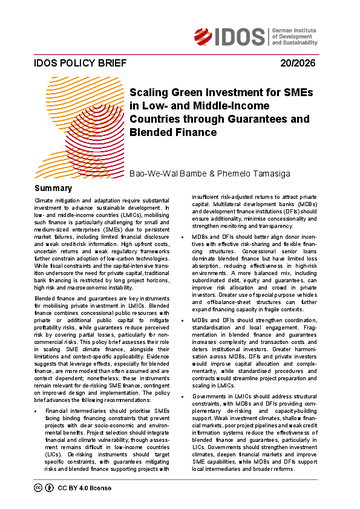 Scaling green investment for SMEs in low- and middle-income countries through guarantees and blended finance