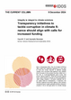 Cover: The Current Column of 9 December 2024 "Transparency initiatives to tackle corruption in climate finance should align with calls for increased funding" by HyunAh Yi and Aparajita Banerjee.