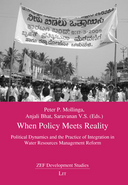 When policy meets reality: political dynamics and the practice of integration in water resources management reform 