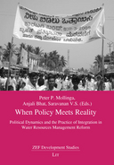 When policy meets reality: political dynamics and the practice of integration in water resources management reform 