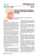 Hacia una eliminación progresiva y estratégica del subsidio al ACPM en Colombia