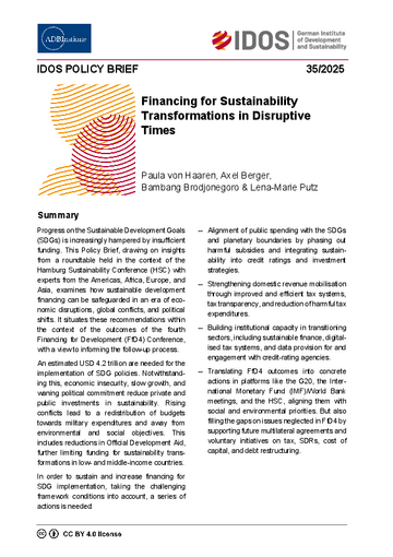 IDOS Policy Brief 35/2025