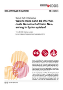 Welche Rolle kann die internationale Gemeinschaft beim Neuanfang in Syrien spielen?