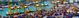 Photo: Header Supply Chains
