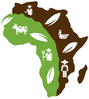 Improving gender-responsive innovation: adoption among smallholder farmers in Africa