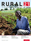 Opting for the middle ground: blended sustainability as the way forward