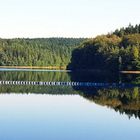 To the theme special