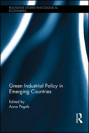 The politics of South African renewable energy support 