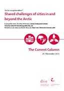 Shared challenges of cities in and beyond the Arctic