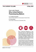 Why United Nations Peacekeeping Matters