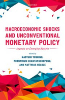 The role of institutions and macroprudential policy in managing spillovers from quantitative easing policies