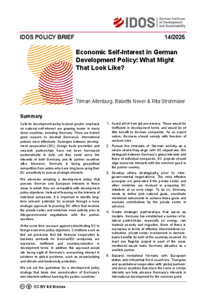 IDOS Policy Brief Cover