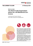 The World Trade Organization before the 13th Ministerial Conference
