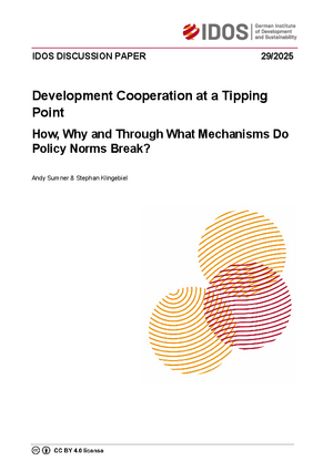 IDOS Discussion Paper cover
